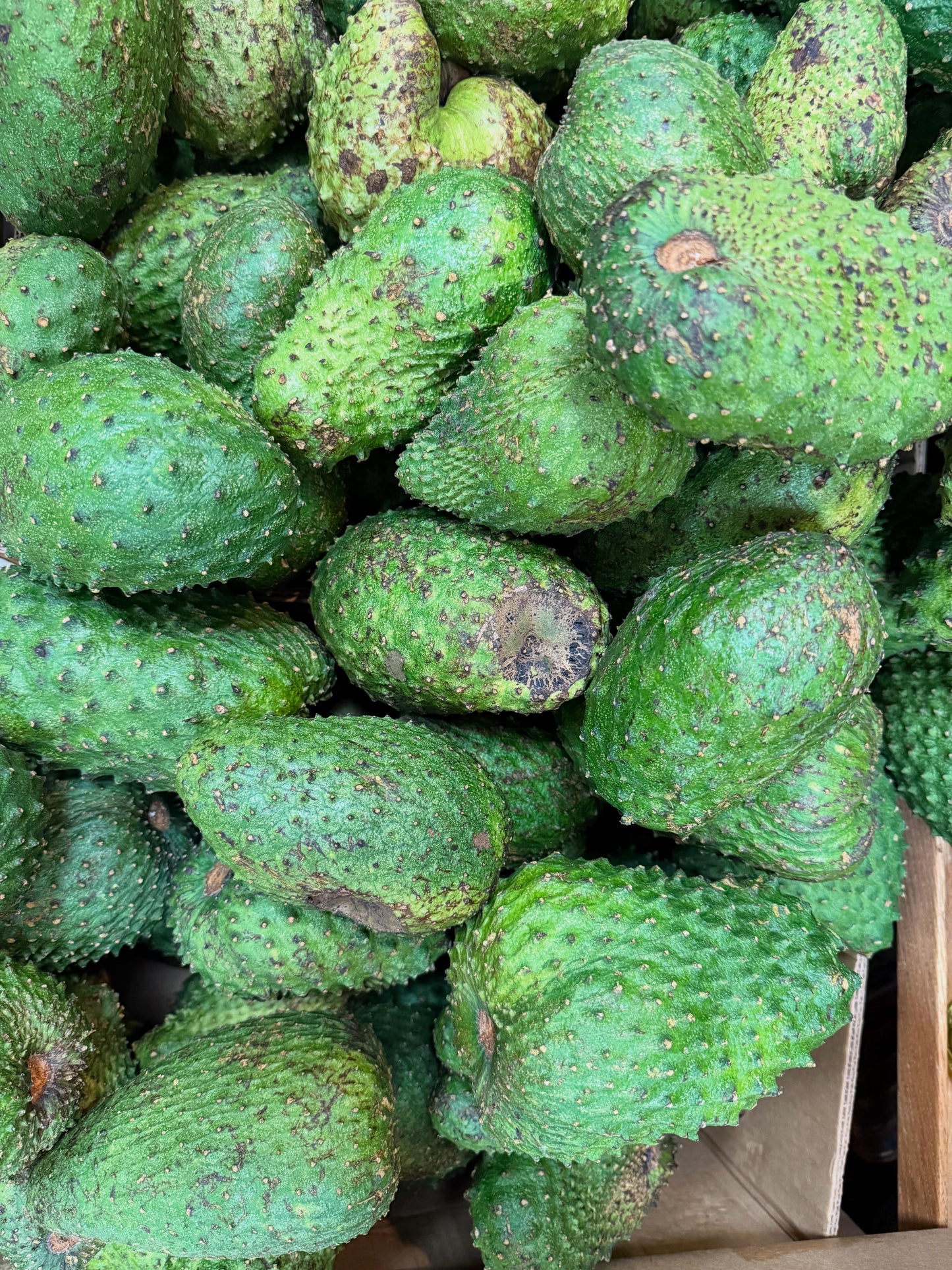 Fresh Soursop (Guanabana / Corossol) – Tropical Superfruit