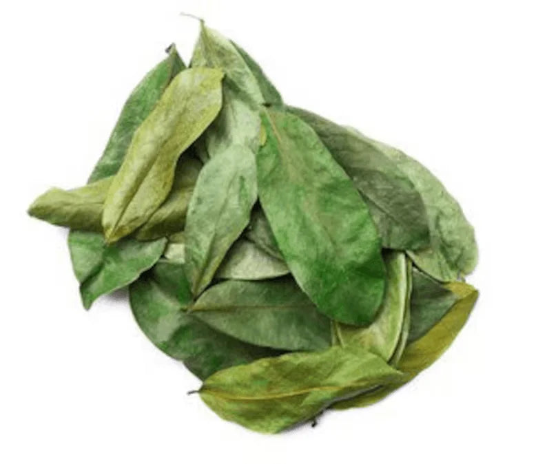 Soursop/Corossol Dried Leaves - Graviola - 250g