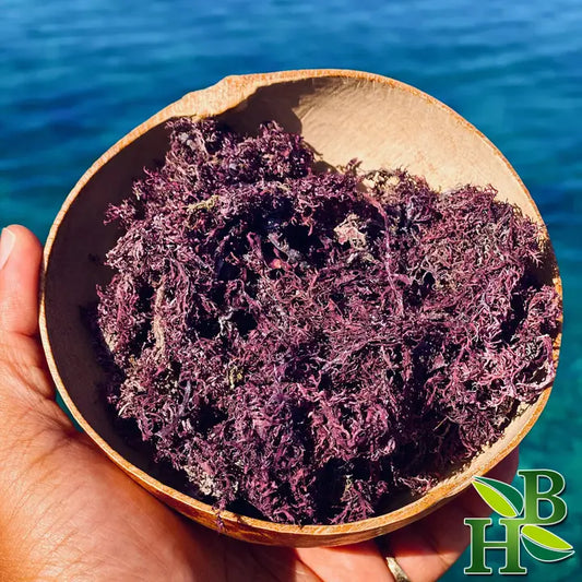 Purple Irish Sea Moss | Premium Quality | 4oz