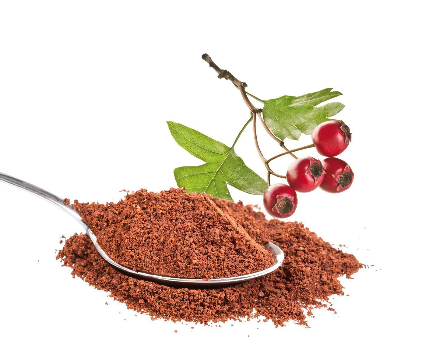 Hawthorn Berries Powder