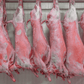 Whole Lamb