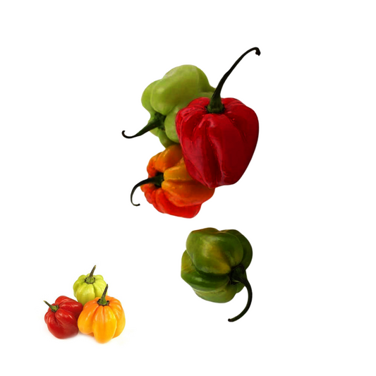 Tricolor Bonnet Pepper Powder Set - Organic